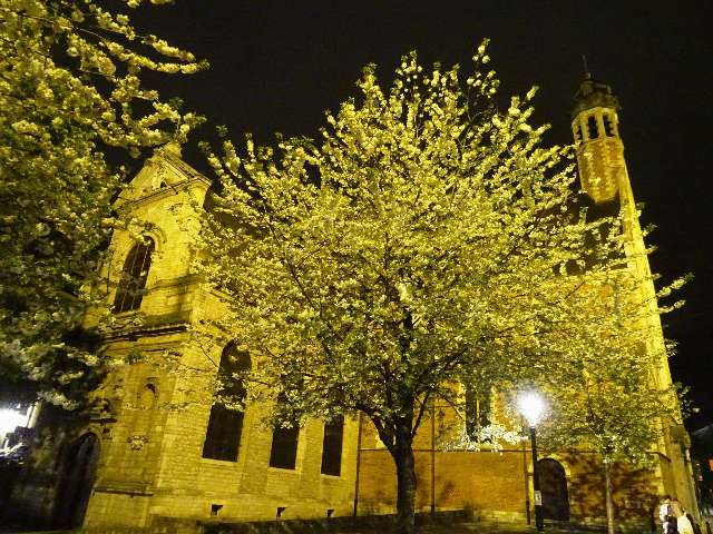 �U�􂷂鐢�E�ŌẪA�[�P�[�h�A�M�������[�E�T���`���x�[��