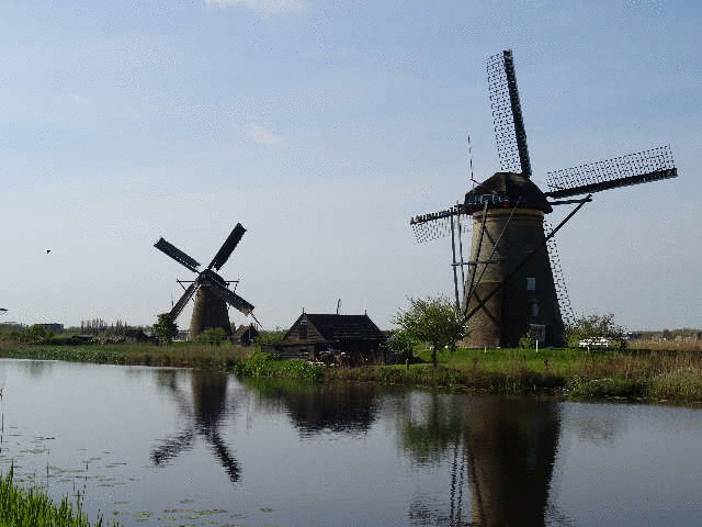 �L���f���_�C�N���ԌQ�̊ό�<