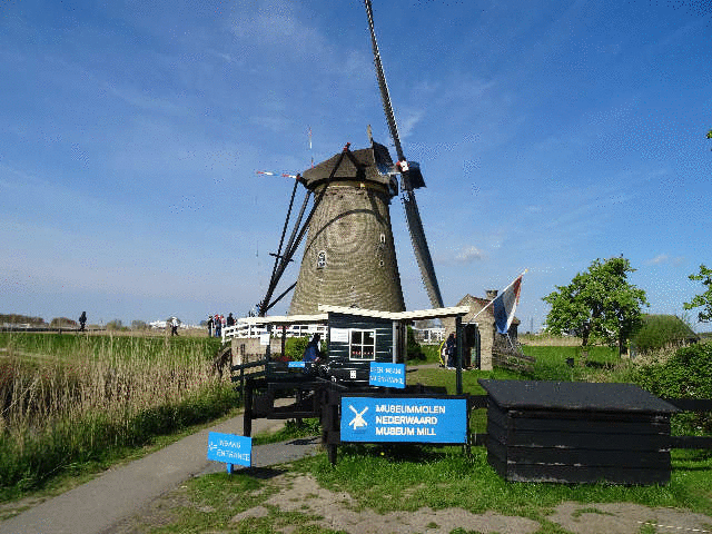 �L���f���_�C�N���ԌQ�̊ό�<