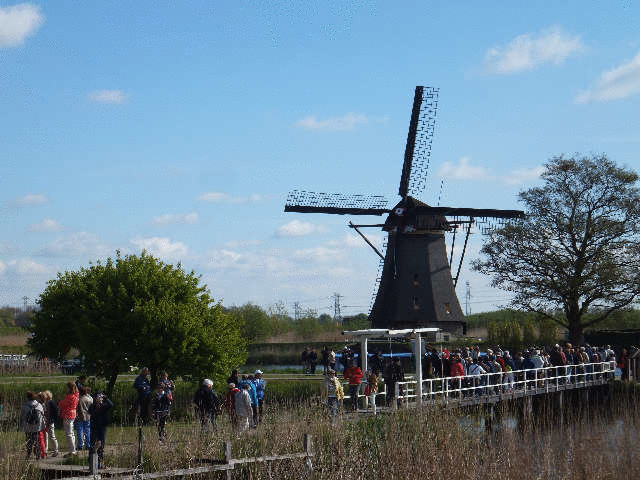 �L���f���_�C�N���ԌQ�̊ό�<