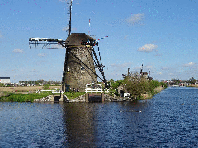 �؂̉Ԃ̍炭���H�e�̎U���H���畗�Ԃ�]��