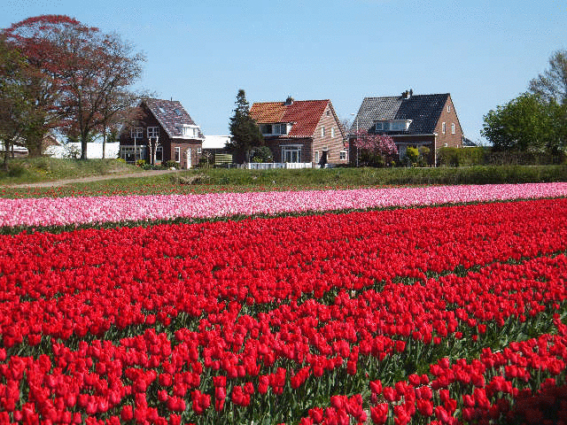 �`���[���b�v���̑ݐ؊ό�