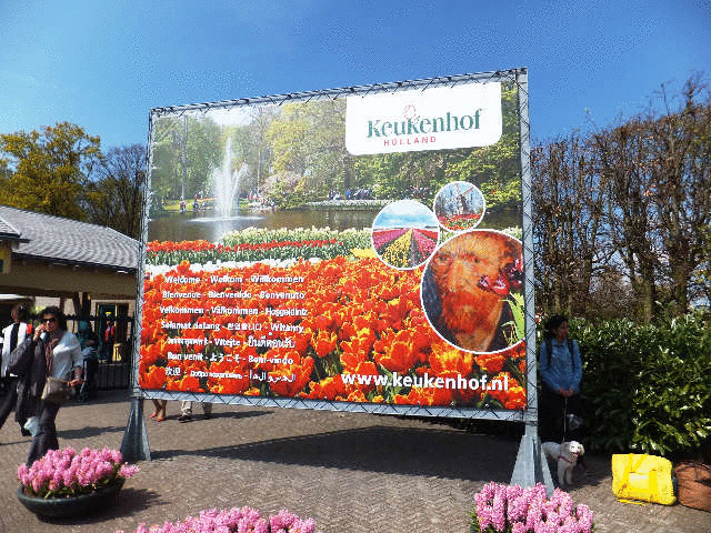 �L���[�P���z�t�����̎U��<