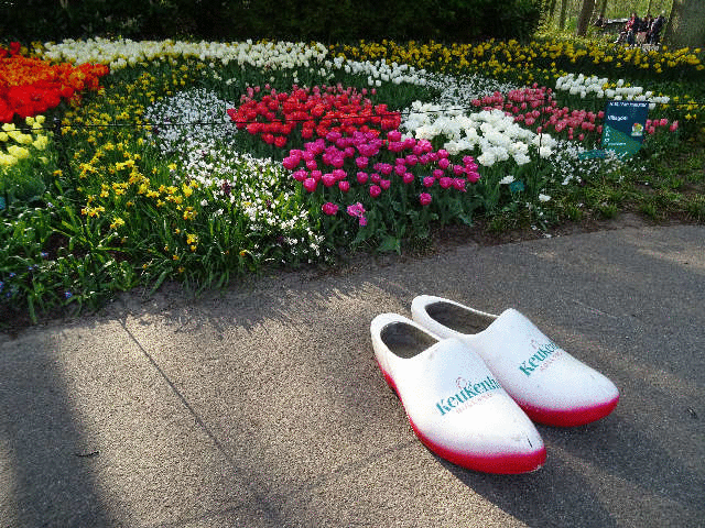 �S�b�z�v��P�Q�T�N���U�C�N�A��