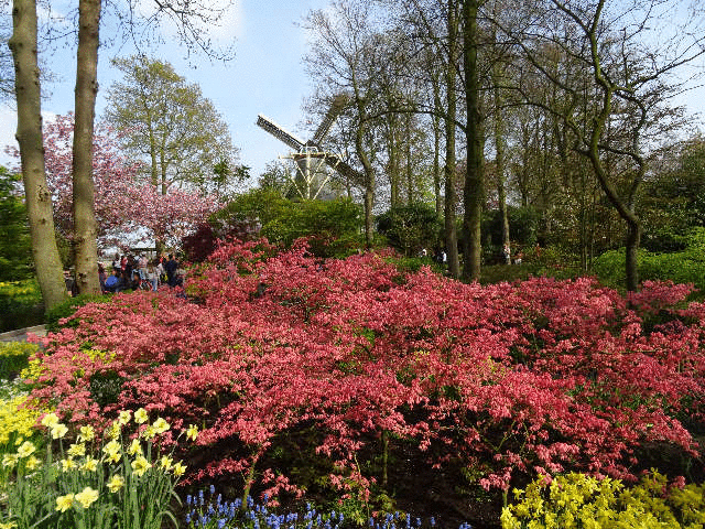 �������̕��ԑO�̒��ˋ�