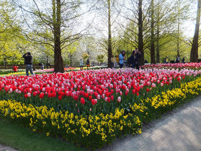 �^��̎����̔L�ƌ������̗l�q