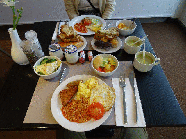 '�n�[�O�̕��a�{�i���ێi�@�ٔ����j