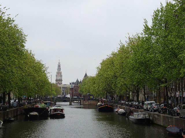 �A���X�e���삩�瑱���^�͂Ɋ|����}�w���̒��ˋ�