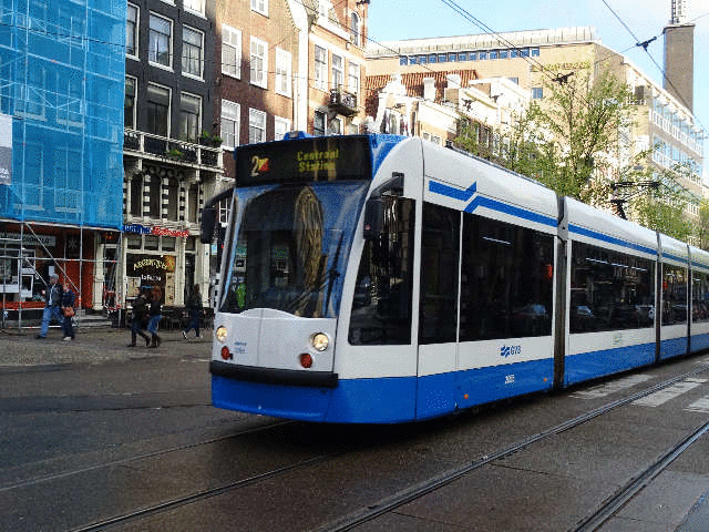 �_���L��Ɖ��{