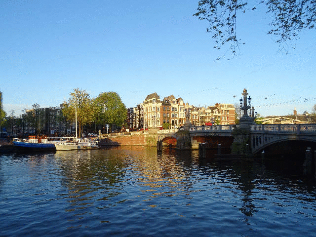 �A���X�e���삩�瑱���^�͂Ɋ|����}�w���̒��ˋ�