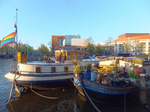 �A���X�e���삩�瑱���^�͂Ɋ|����}�w���̒��ˋ�